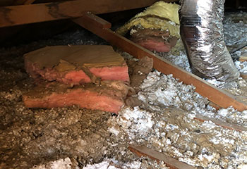 Crawl Space Cleaning | Attic Cleaning San Ramon, CA