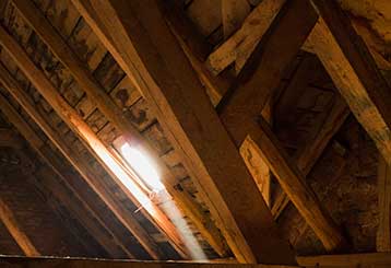 Crawl Space Cleaning | Attic Cleaning San Ramon, CA