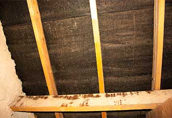 Insulation Removal Services | Attic Cleaning San Ramon, CA Insulation Removal Services | Attic Cleaning San Ramon, CA