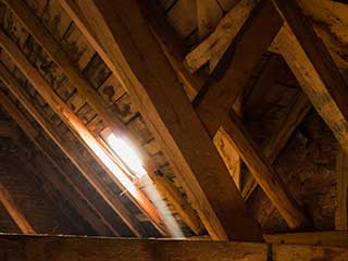 Crawl Space | Attic Cleaning San Ramon, CA Crawl Space | Attic Cleaning San Ramon, CA