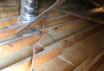 Crawl Space Repair in Brookshire | Attic Cleaning San Ramon Crawl Space Repair in Brookshire | Attic Cleaning San Ramon