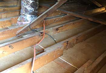 Crawl Space Repair in Brookshire | Attic Cleaning San Ramon