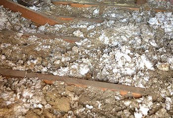 Rodent Proofing | Attic Cleaning San Ramon, CA Rodent Proofing | Attic Cleaning San Ramon, CA